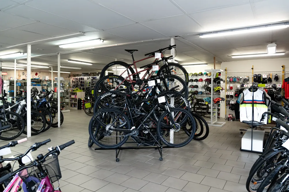 Cycles Gaston Rahier Loisirs à Saint-Maximin (41)