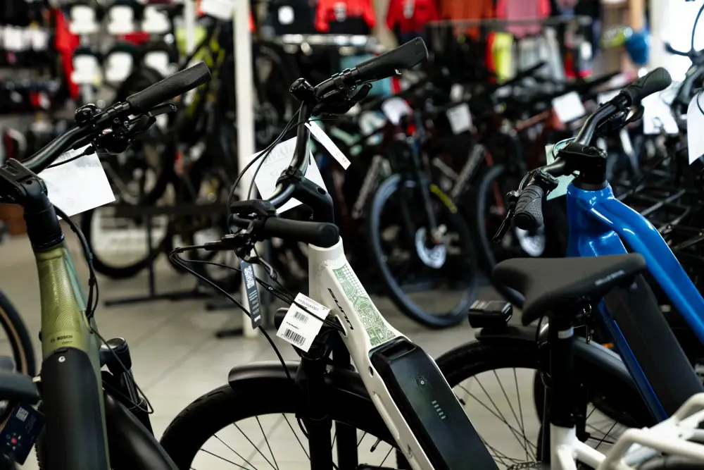 Cycles Gaston Rahier Loisirs à Saint-Maximin (25)