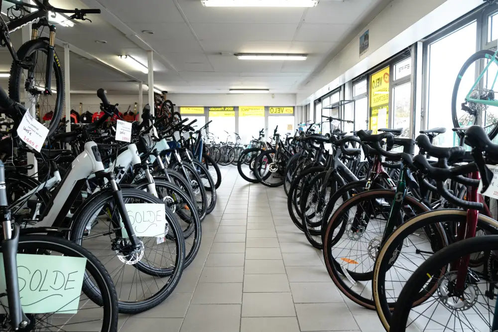 Cycles Gaston Rahier Loisirs à Saint-Maximin (11)